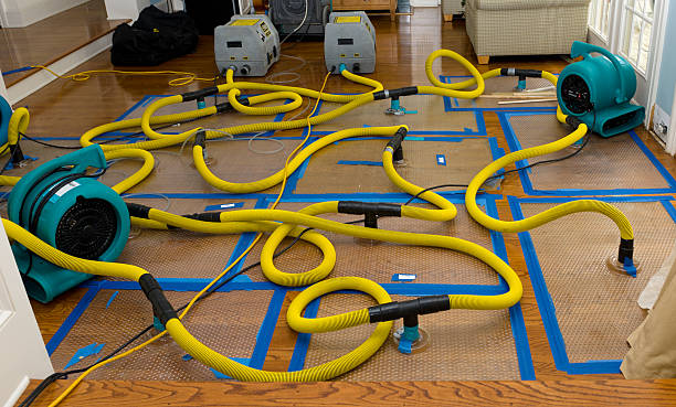 Professional Flood Damage Restoration technician working in Brentwood, MD